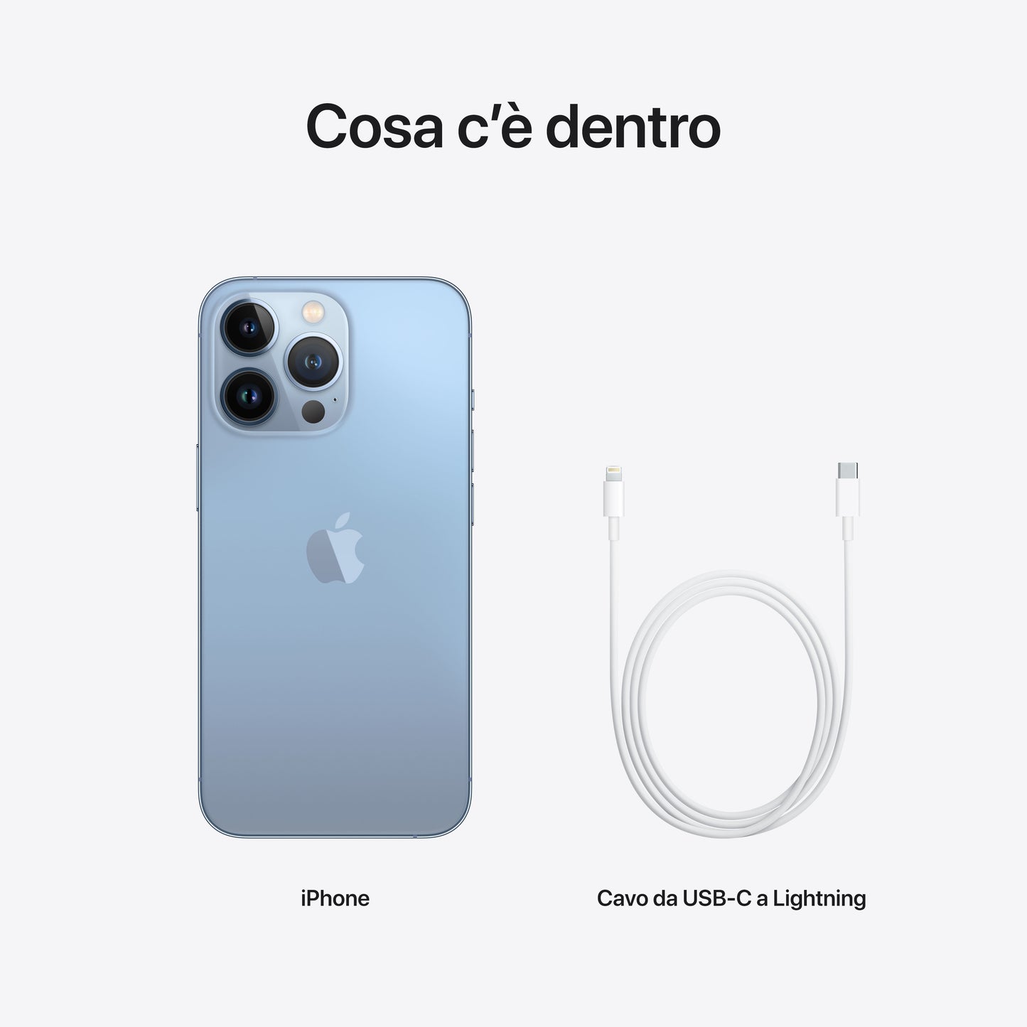 IPHONE 13 PRO - PRE OWNED GRADE A/A+ (SCATOLA + CAVO LIGHTNING USB-C) - 12 MESI DI GARANZIA